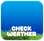 Check Weather